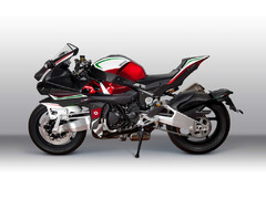 BIMOTA TESI 2 D