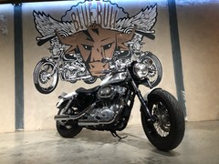 HARLEY-DAVIDSON SPORTSTER LOW XL 883 L