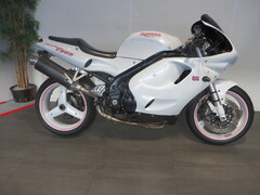 TRIUMPH DAYTONA T  595