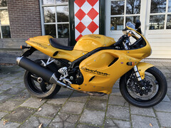 TRIUMPH DAYTONA T  595