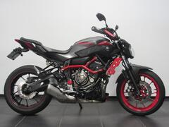 YAMAHA MT 07 MOTO CAGE ABS